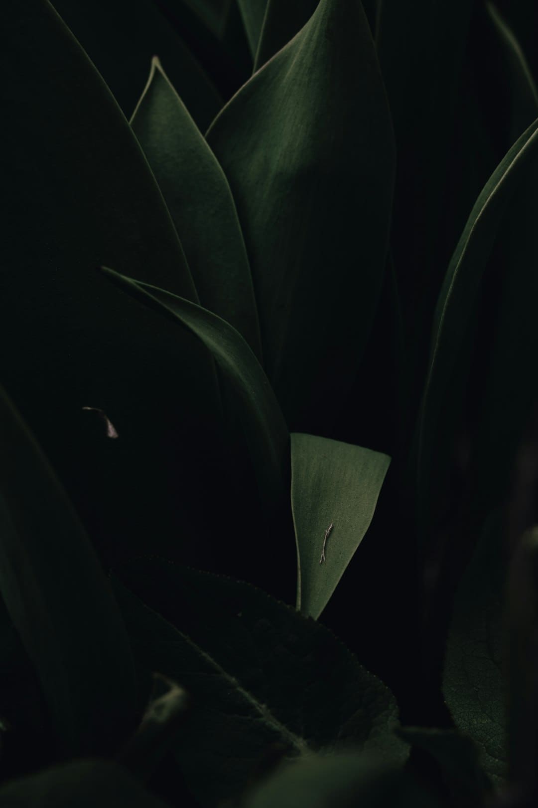 树立合适自己的出资战略